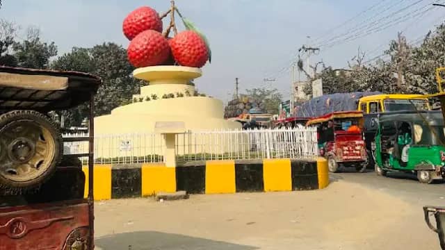 কলেজ মোড় (লিচু চত্তর)